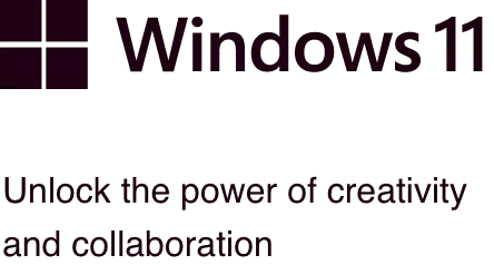 windows logo